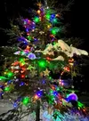 Just one of the many trees visitors can spy during the Holiday Tour of Trees at the Government Peak Recreation Area in Hatchers Pass on December 23. Courtesy Mat-Su Ski Club website