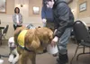 ROBERT DeBERRY/Frontiersman Scotty, a golden retriever service
dog, drops money he picked up off the floor into a can held by
Titus Caraway Monday afternoon at the Big Lake Chamber of Commerc