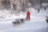 LANIER HUTCHESON/Frontiersman Rebekah Ruzicka spurs on her
winning team past the finish line on Saturday’s Willow Jr. 100 Sled
Dog Race.