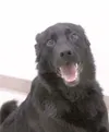 Smile with me