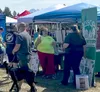 Mat-Su Services for Children and Adults was among the agencies represented at the second annual LINKS Resource Fair. Katie Stavick/Frontiersman