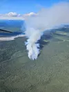 Air attack photo of the Lake George Fire. Courtesy of Alaska Wildland Fire Information