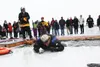 Polar Plunge. 5 Things.jpg