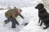 MATSAR Search and Rescue K9 volunteer Glenn Moeller and his dog, Yote, cover up an avalanche 'victim' during an avalanche dog training exercise in the Hatcher Pass area Saturday afternoon. Ro