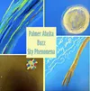 Palmer Buzz