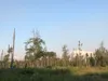 Smoke from the Malaspina Fire can be seen from the distance above the trees of Yoder Road near Talkeetna on Sunday. Tim Rockey/Frontiersman