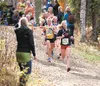 Wasilla senior Mariah Burroughs leads a pack of runners down the trail during the 2013 ASAA/First National Bank State Cross-Country Running Championships. Burroughs, who finished a career-bes