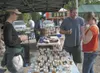 Sarah McCurdy gives samples of flavored honey to Bradley Howe
and Michelle Rushton and their daughter Rivers Howe, 7 months, at
the Jonesers booth at the Willow Farmers Market. (HEATHER A.
RE