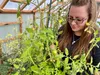 Ashley Cramsey was not always interested in gardening, but in recent years, her hobby has become her passion. Courtesy photo