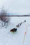 Ryan Redington Arriving at McGrath Checkpoint in 2022. David Poyzer/Iditarod