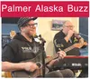 Palmer Buzz