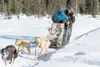 Former Iditarod musher Vern Halter takes a visitor out for a
sled dog ride as part of a kennel tour in Willow. TOM BOL/Mat-Su
CVB