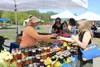 Derith Whaley talks to a customer about nectars loose leaf teas, and Chaga mushrooms at the Jonsers stand. Jacob Mann/Frontiersman