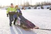 ROBERT DeBERRY/Frontiersman Jonathan Myers makes his way to the
starting chute of the 2010 Junior Iditarod Sled Dog Race in Willow.
Myers, 14, has type 1 diabetes, also known as juvenile
diab
