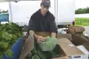 ROBERT DeBERRY/Frontiersman Chuck Haugom packs produce boxes at
Glacier Valley Farms Monday afternoon in Palmer. The farm plans to
stop distributing its popular weekly produce boxes starting 