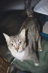 Needs a good home