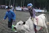 Willie Koloski hanging on tight during his calf ride. JACOB MANN/Frontiersman.com