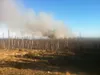 Smoke rises from a fire in Point MacKenzie Thursday. Officials say the blaze is currently holding steady at 45 acres and is surrounded but not fully contained. Photo courtesy Jake Boothby, Ma