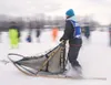 Pam Aviza and her dogs tear out of the starting area during the
Earl Norris Memorial Open Class Sled Dog Race Saturday on Willow
Lake at the 2011 State Winter Carnival in Willow. Sled dog rac