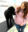 Posh Paws Doggy Salon owner Callie Courtney with one of her beloved poodles demonstrates the escalating table that she uses to make grooming easier for her and her furry clients. Katie Stavic