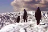 Chilly Ascent