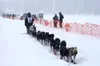 Iditarod officials moved the 2021 restart from the Willow Community Center to Deshka Landing to mitigate exposure to COVID-19. Frontiersman file photo