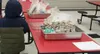 A local child selects his free food items at Wasilla Middle School. Photos by Jacob Mann/Frontiersman