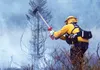 A firefighter chops brush while battling the Sheep Creek Fire near Willow on Saturday, September 5, 2015. Fire officials on Friday announced a suspension on burn permits, citing dangerous fir