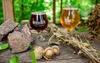 Issue No. 11: Foraged beer in southern Illinois