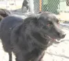 Needs a best friend