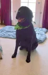 Great with kids