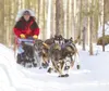 Houston resident and Iditarod musher Sue Allen runs nine of her
18 dogs through the woods on a training run near her home Sunday
afternoon. ROBERT DeBERRY/Frontiersman