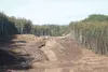 Construction crews work to extend Seldon Road 2.5 miles beyond Church Road to connect with Beverly Lakes Road. HEATHER A. RESZ/Frontiersman