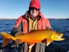 Andy Couch caught this Big Lake Arctic Char in peak of October spawning colors.   Courtesy of Jason Perrego