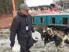 Chuck Schaeffer, seen here tending to his dogs, finished 51st in the 2015 Iditarod. Ray Gaskin/For the Frontiersman