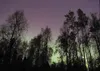 (ROBERT DeBERRY/Frontiersman) Robert DeBerry
