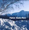 Palmer Alaska Buzz Feb. 15