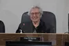 Palmer Mayor Edna DeVries announced her intent to run for Borough Mayor this fall. Tim Rockey / Frontiersman