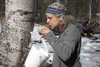 Kahiltna Birchworks co-owner Dulce East drinks raw sap dipped from a bucket on Friday, April 15. It takes 100 gallons of birch sap to make one gallon of syrup. STEVEN MERRITT/Frontiersman