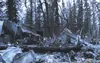 The charred remains of Walter and Linda Hitesman’s home lies black beneath a gray sky just a few hours after the trailer burned the morning of Feb. 10. Courtesy Linda Hitesman