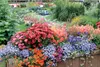 A planter bursting with blossoms greets visitors to the demonstration garden at the Palmer Museum of History and Art. The garden is the site of several classes offered Saturday during the ann