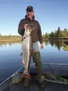 Angler Jeff Carlson caught this Deshka River king salmon May 13, 2016. Courtesy of Jeff Carlson