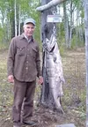 Maynard Young was leading the way in the Mat-Su King Salmon
Derby with this 54.2-pound Sheep Creek king, until Duane Couch
caught a fish of the exact same weight but just 7/16ths of an inch
l