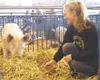 Melissa Windel shows off a pig she said doesn't have a real
name, but she calls it White Pig. Windel started her own pig
breeding businesses and also raises a steer. Photo by CASEY
RESSLER/Fr