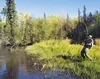 CASEY RESSLER/Frontiersman Mike Coughlin fights a big rainbow
last fall.