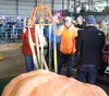 The Alaska Star Fair will host Harvest Fest in September, which will feature popular fair staples such as the vegetable weigh-offs. Frontiersman file photo