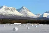 That first snow lightens and brightens the darkness of forthcoming winter, as the large round bales of hay in the fields become major marshmallows on the landscape. Courtesy Patrick Albert