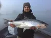 Corey Berg with a first-light Kenai coho. Courtesy of Andy Couch