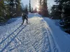 A skier skates on Feb. 28, 2021 to the high point of the Spencer Loop trail in the Hillside neighborhood of Anchorage.  Yereth Rosen/Alaska Beacon