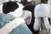 (ROBERT DeBERRY/Frontiersman) Idiatrod fan Ann Shofner tries on
a fur hat at the 2010 Iditarod Trail Sled Dog Race restart.